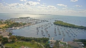 A live view of Arya Hotel and Suites, Coconut Grove